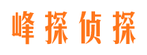 保亭侦探